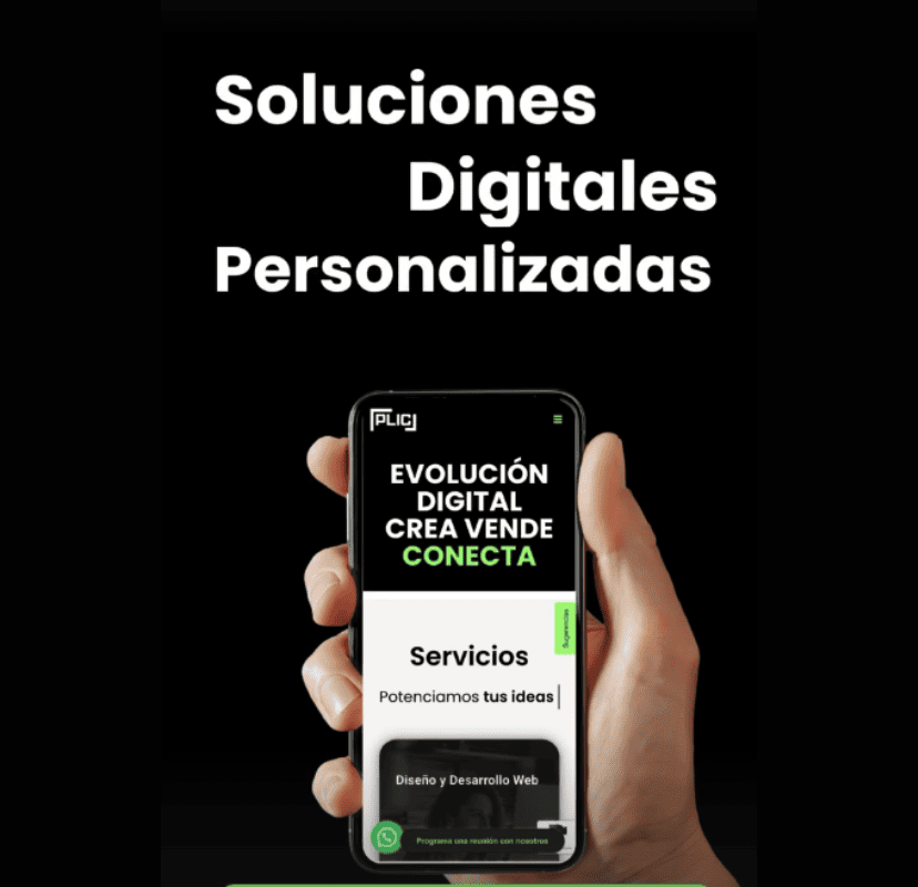 Carrusel1_Solucines Digitales